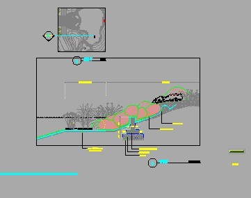 ������Ȼ��������