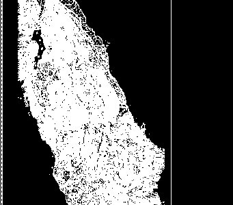 �羰��ʤ����ǰ����ϸ�滮