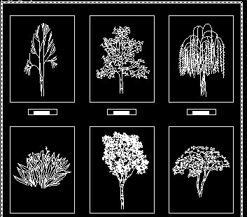 ֲ������ͼ