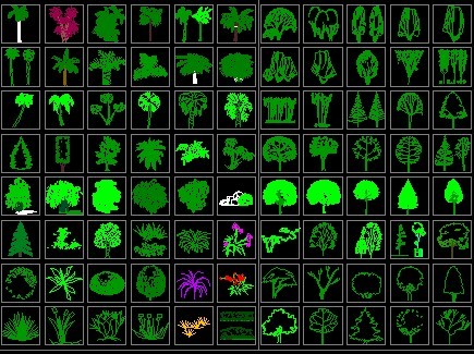 ֲ������ͼ