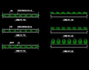 ������ֲ����