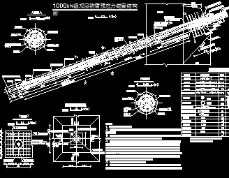 ˫�����ԤӦ��ê���ṹʩ��ͼ