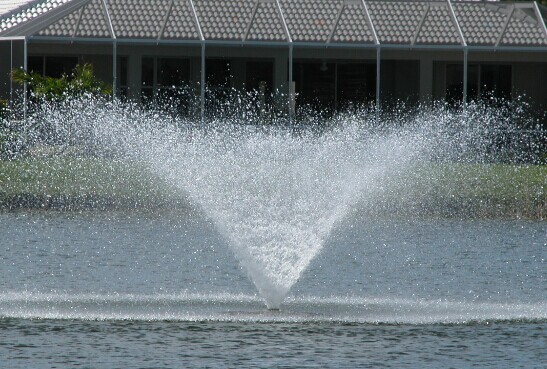 �̾��п�ѧ��̬��������ˮ�����������