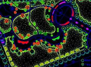 ĳ�㳡ֲ�ﲼ�÷���ͼ