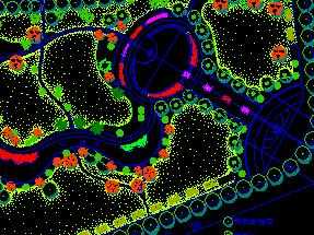 ĳ�㳡ֲ�ﲼ�÷���ͼ