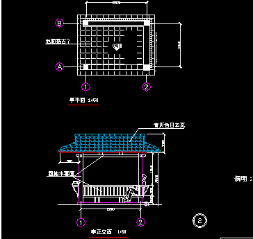 ����ͤ���ͼ