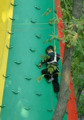 QQͼ20160930110246.png