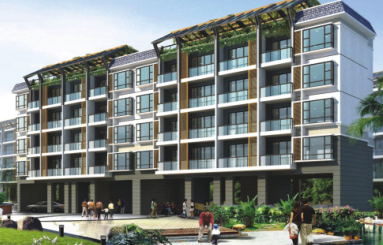 242ƽ�����Ĳ�����������ͼֽ