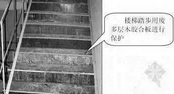 66b2000573fb10892c3e.jpg