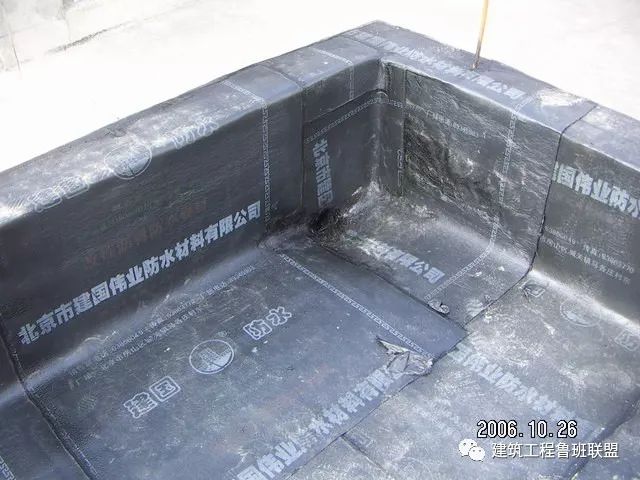 63.jpg