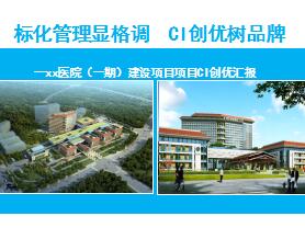 ҽԺ������ĿCI���Ż㱨����