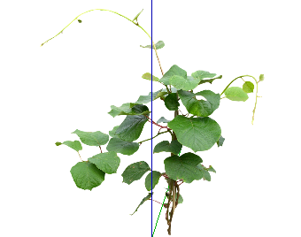 ֲSketchUpģ