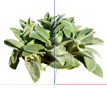ֲSketchUpģ