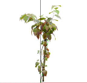 ֲSketchUpģ