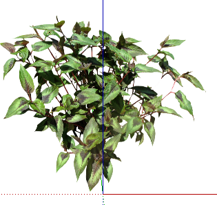 ֲSketchUpģ