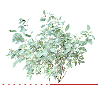 ֲSketchUpģ