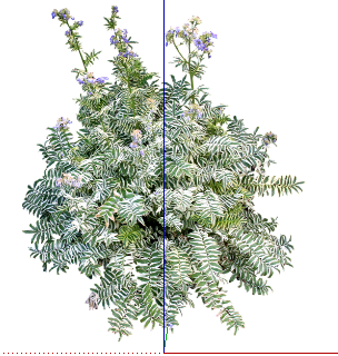 ֲSketchUpģ