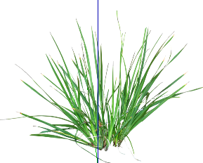 ֲSketchUpģ