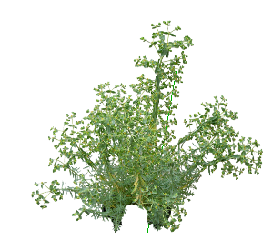 ֲSketchUpģ