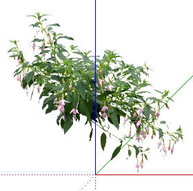 ֲSketchUpģ
