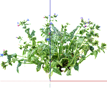 ֲSketchUpģ
