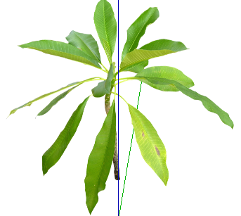 ֲSketchUpģ