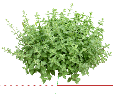 ֲSketchUpģ