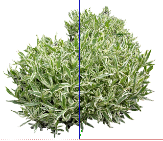 ֲSketchUpģ