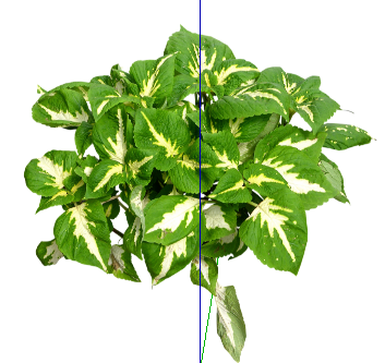ֲSketchUpģ