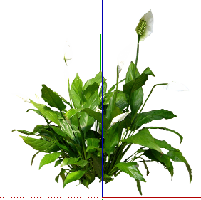 ֲSketchUpģ