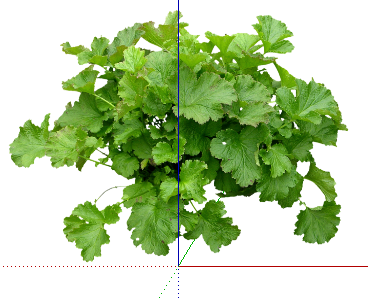ֲSketchUpģ