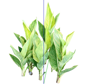 ֲSketchUpģ