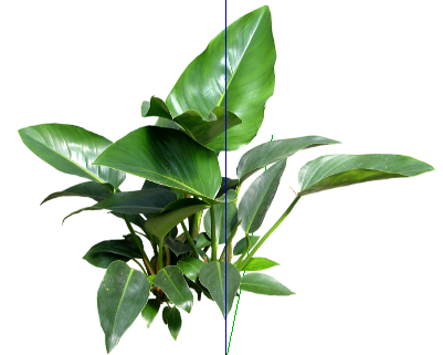 ֲSketchUpģ
