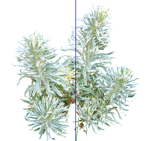 ֲSketchUpģ