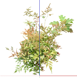ֲSketchUpģ