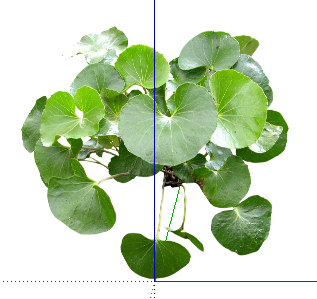 ֲSketchUpģ