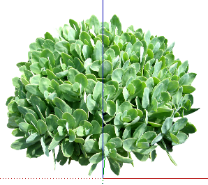 ֲSketchUpģ