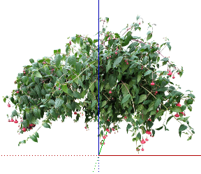 ֲSketchUpģ