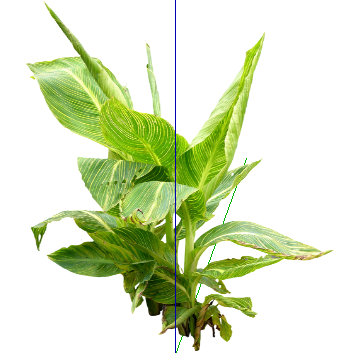 ֲSketchUpģ