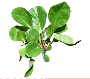 ֲSketchUpģ