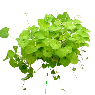 ֲSketchUpģ
