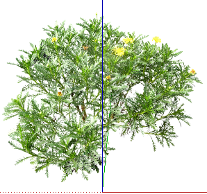 ֲSketchUpģ