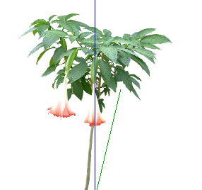 ֲSketchUpģ
