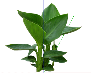 ֲSketchUpģ