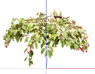 ֲSketchUpģ
