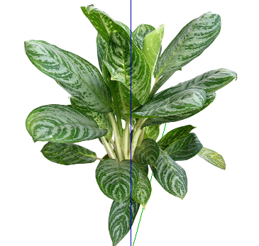ֲSketchUpģ