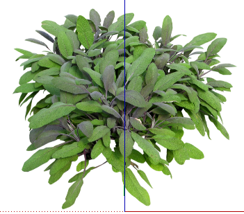 ֲSketchUpģ
