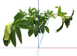 ֲSketchUpģ
