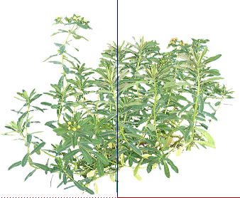 ֲSketchUpģ