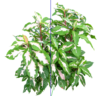 ֲSketchUpģ